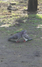 b0091373_0171015.jpg