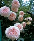f0004180_016869.jpg