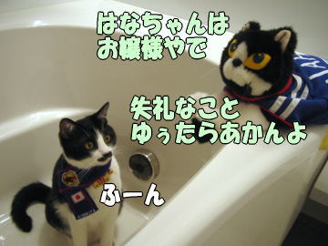 b0041182_2033379.jpg
