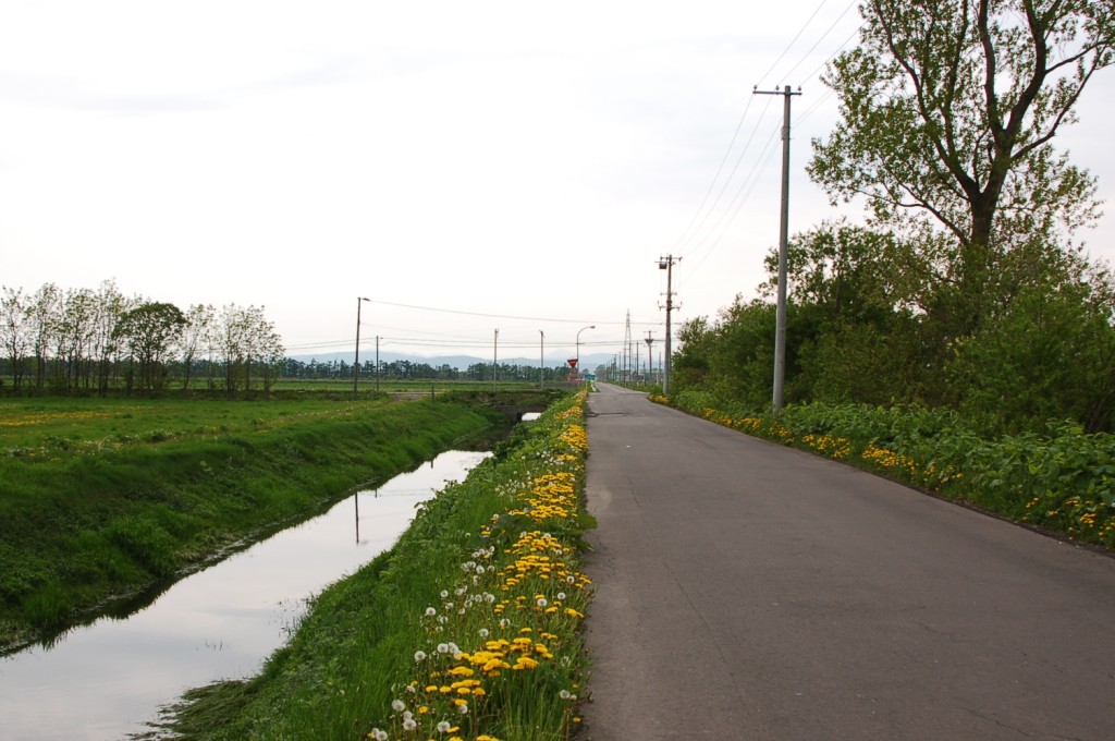 a0062697_21134128.jpg