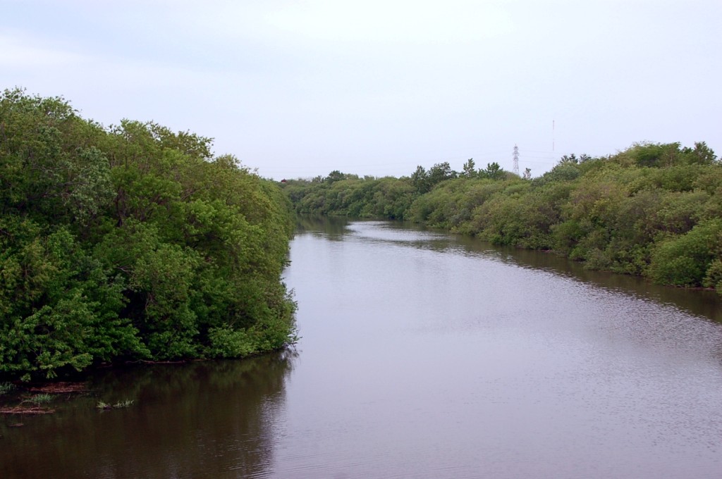 a0062697_21184576.jpg