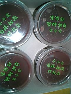 e0031798_21535455.jpg