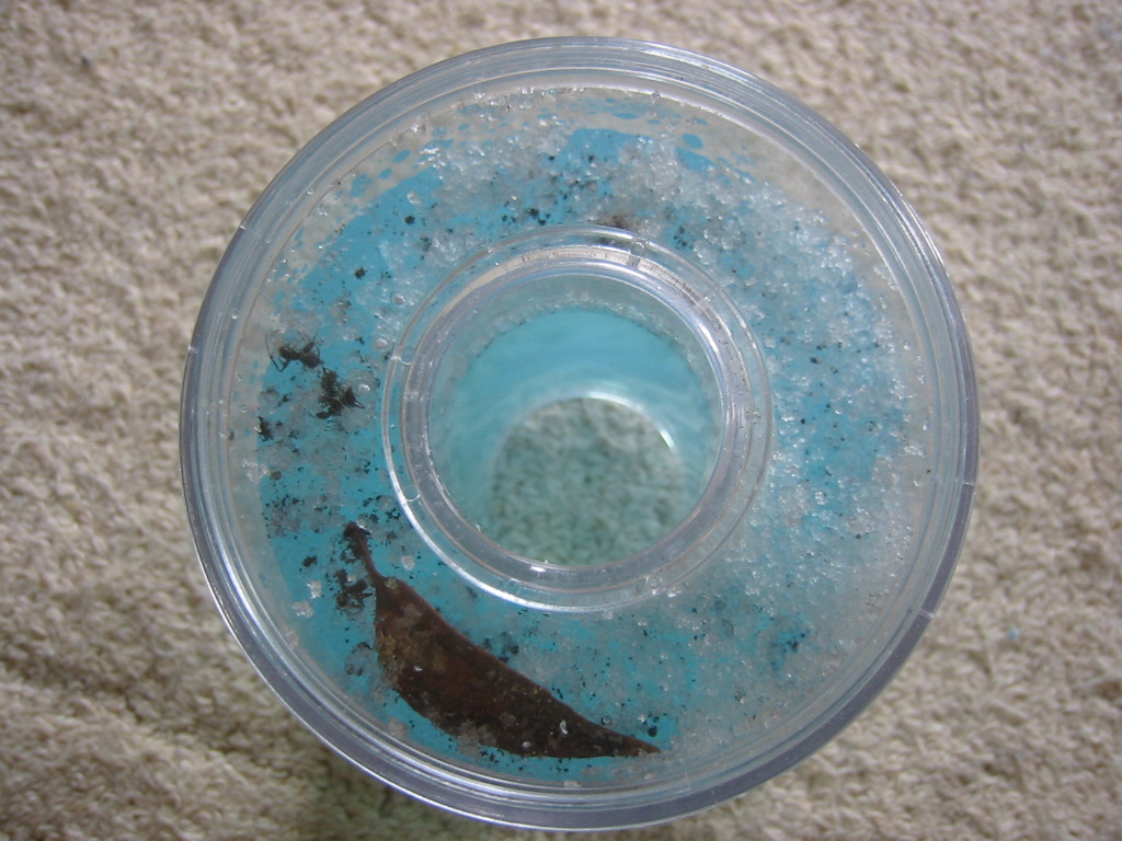 f0013998_23273798.jpg