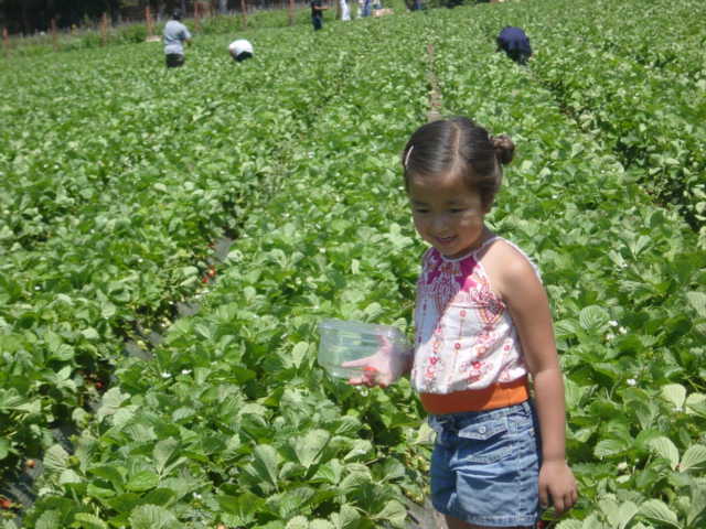 c0048504_1235158.jpg