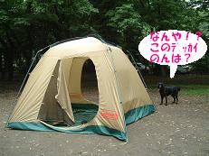 a0042313_21233553.jpg