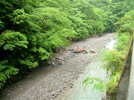 e0002820_9345080.jpg