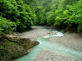 e0002820_936741.jpg