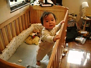 b0026822_2324083.gif