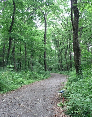 e0071225_0343516.jpg
