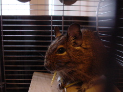 f0068234_23322811.jpg