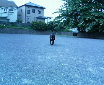 a0040736_18365688.jpg