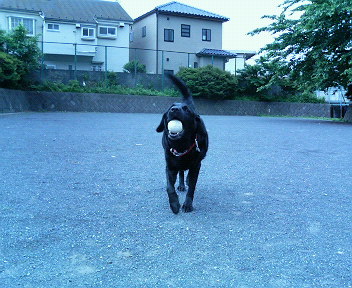 a0040736_18372065.jpg