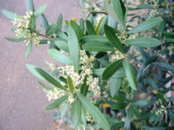 b0046038_16561653.jpg