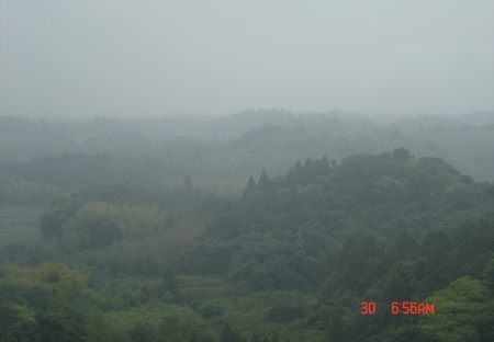 c0022340_2052088.jpg