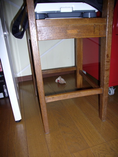e0058443_1463486.jpg