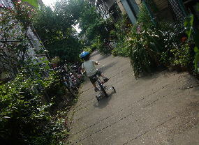 c0064647_1620818.jpg