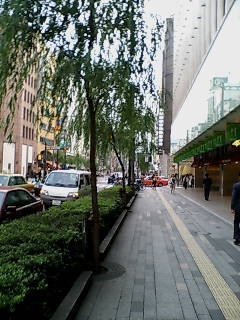 e0063653_15231679.jpg