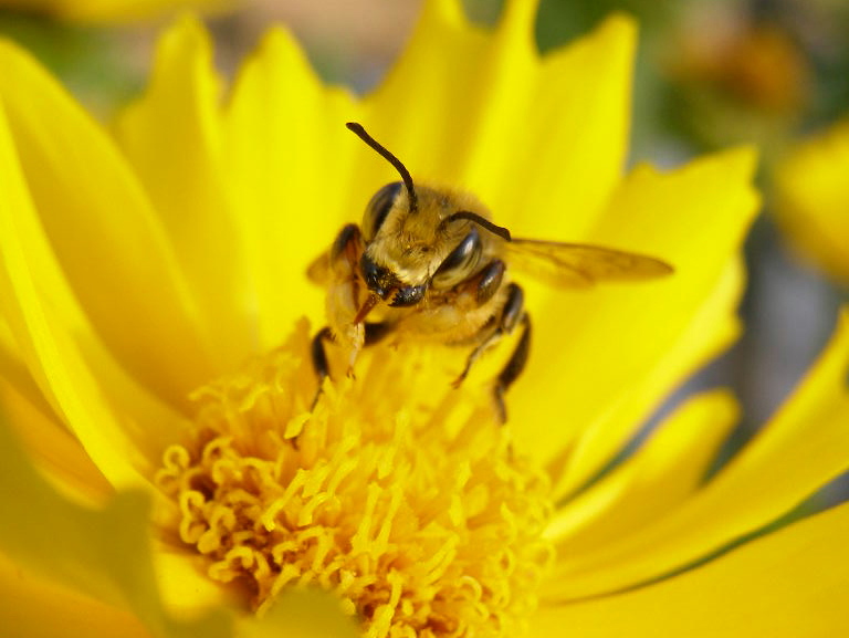 e0064158_054259.jpg