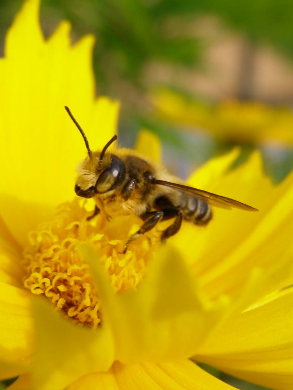 e0064158_055429.jpg