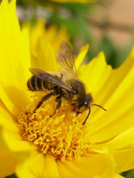 e0064158_0573093.jpg