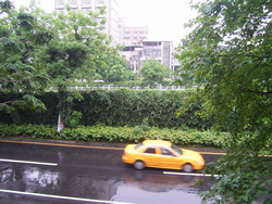 e0047361_031246.jpg
