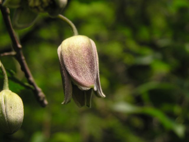 c0042869_21593298.jpg