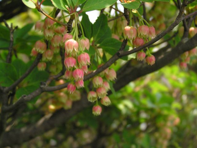 c0042869_2201533.jpg