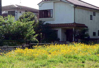 f0086169_22384535.jpg