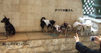 c0012571_1218304.gif