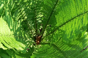 b0068572_1551473.jpg