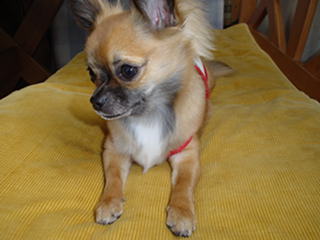 e0070777_1058249.jpg