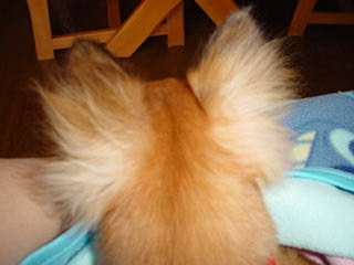 e0070777_12294135.jpg