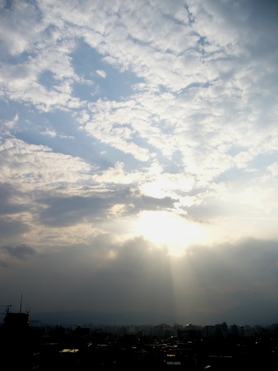 b0080789_2191497.jpg