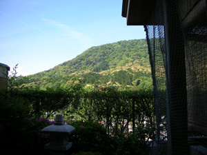 b0019591_923330.jpg