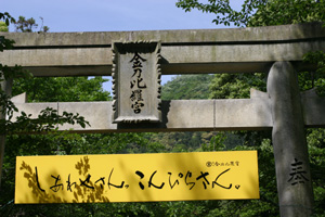 b0019591_93743.jpg