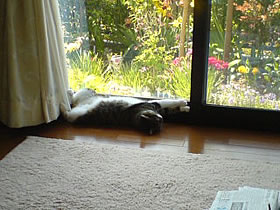 c0035001_14364984.jpg
