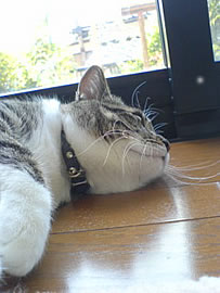 c0035001_14391392.jpg