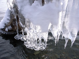 b0110205_18312286.jpg