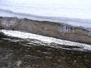b0110205_18313550.jpg