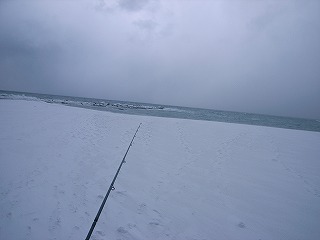 b0110205_18334529.jpg