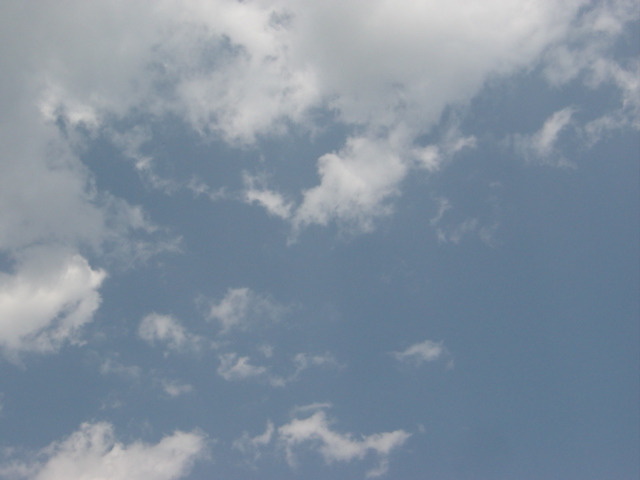 f0064906_21132317.jpg