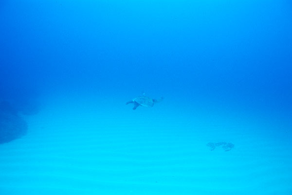 c0064907_205855.jpg