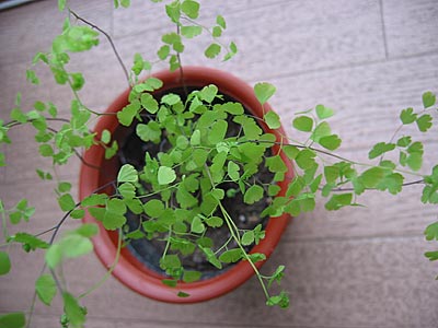 a0041508_20543243.jpg