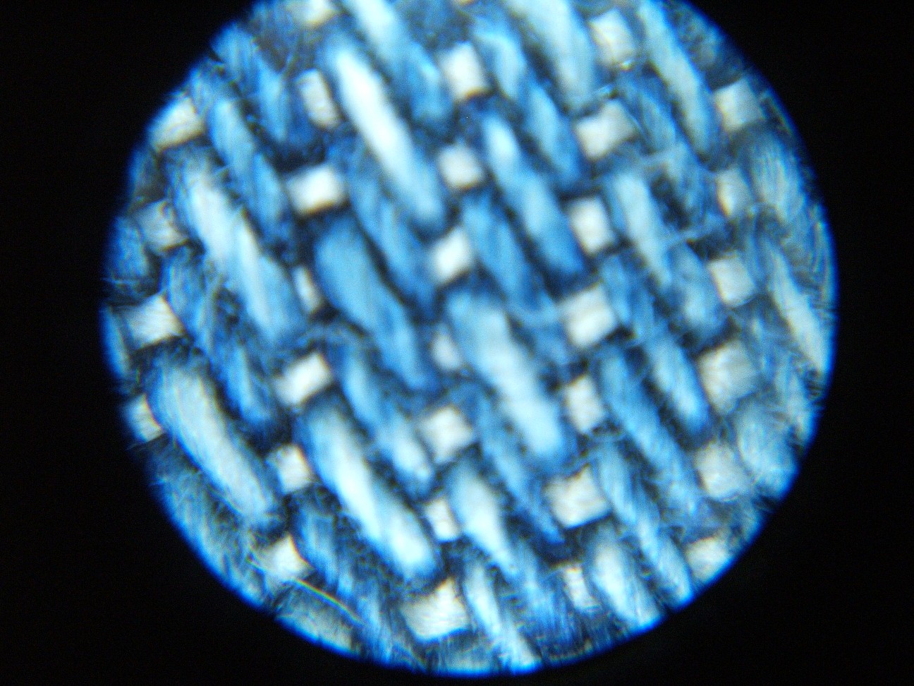 b0061010_22185570.jpg