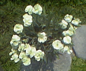 b0087212_2385674.jpg