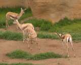 b0080118_5364867.jpg