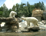 b0080118_5375756.jpg