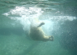 b0080118_5551854.jpg