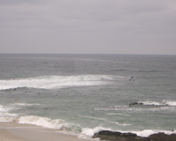 b0080118_613069.jpg