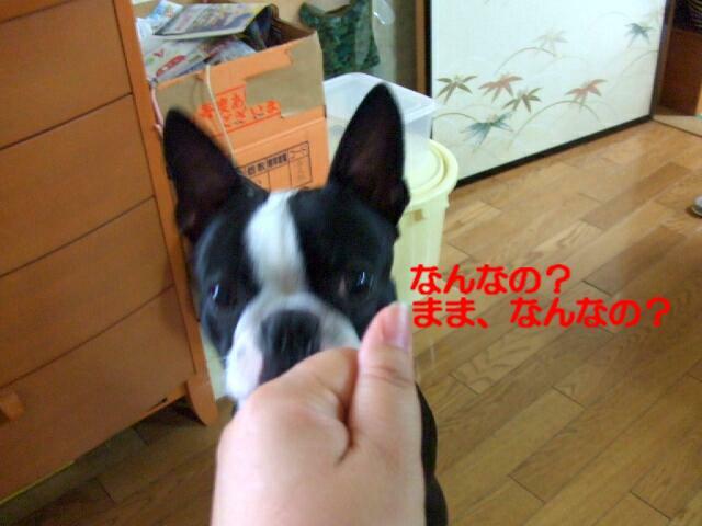 f0059334_1365874.jpg